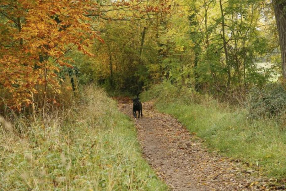 Cosy Garden Apartment Near Oxford And The Jr エクステリア 写真